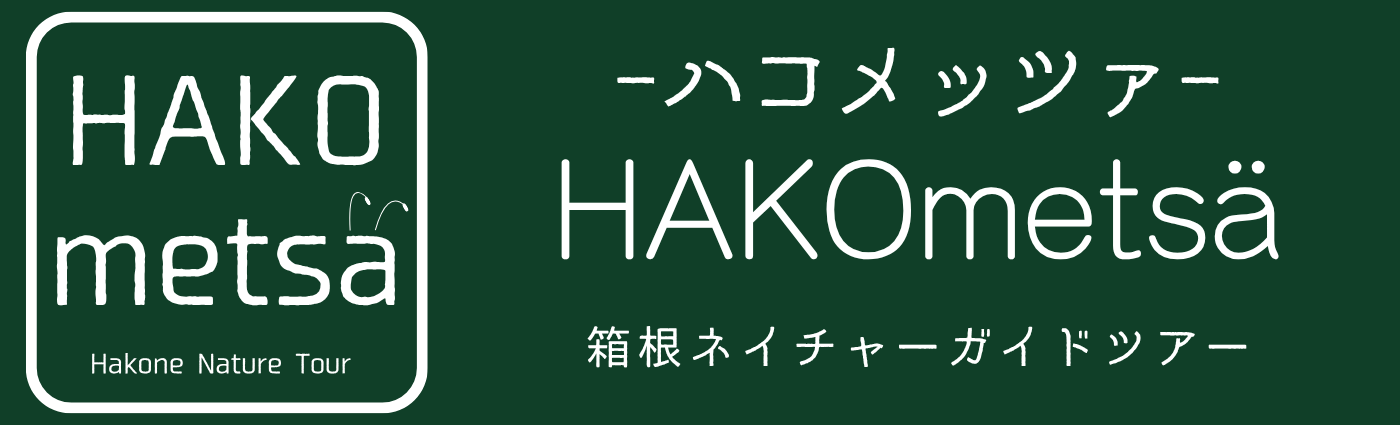 HAKOmetsä 箱根ネイチャーガイドツアー Nature Guided Tours in Hakone